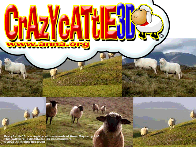 🐏 Crazy Cattle 3D